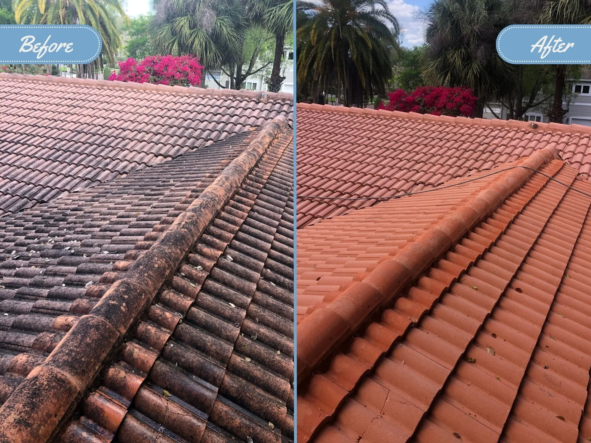Side-by-side comparison of the before and after of a barrel tile roof; the left side shows the tile roof with black algae streaks before drone-assisted roof cleaning, the right shows clean, bright tiles after drone cleaning.
