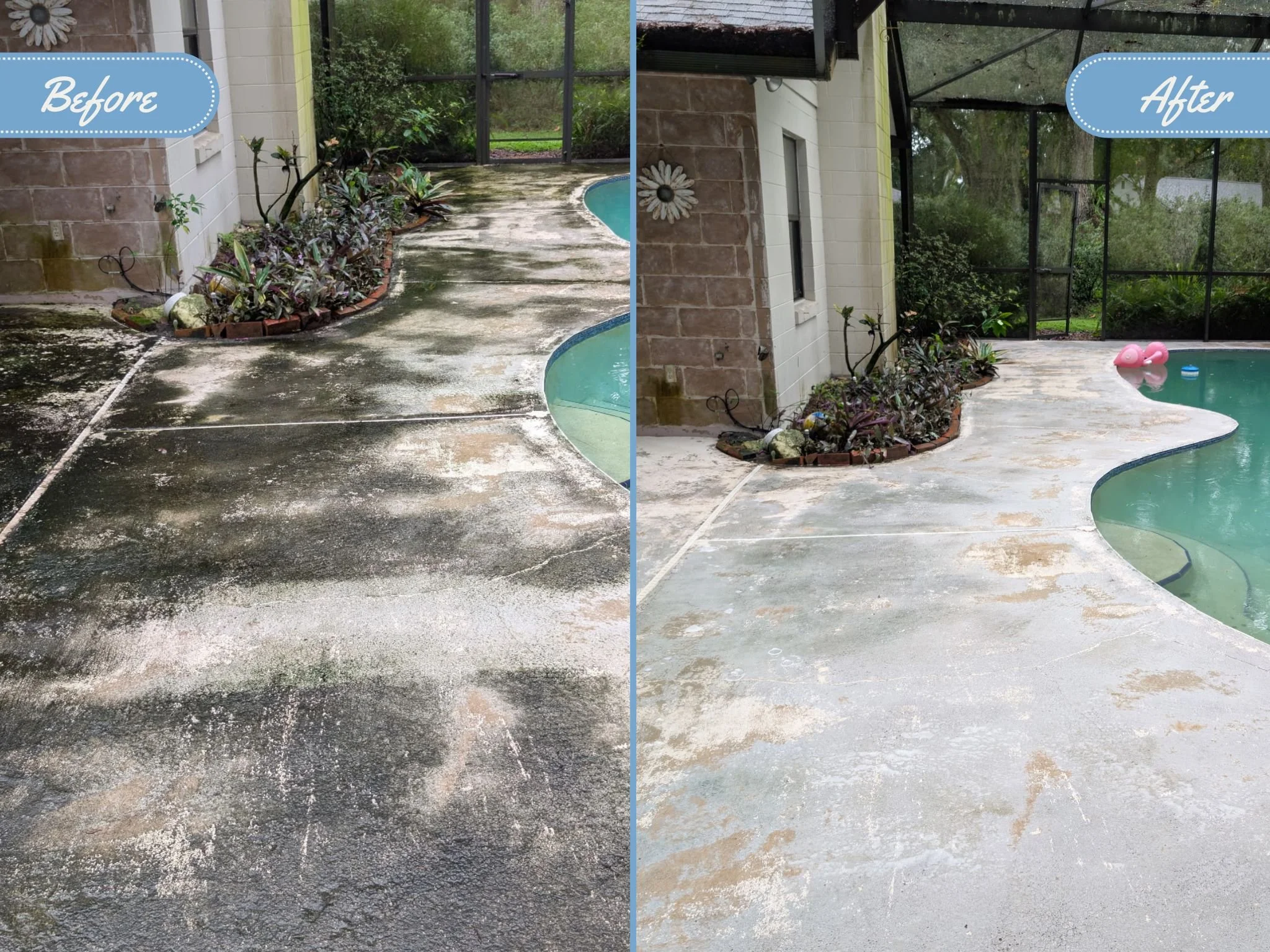 Side-by-side comparison of a concrete poolside area before and after soft washing; the left side shows a dirty, mildew, stained surface, while the right side shows a clean, stain-free surface after exterior cleaning.