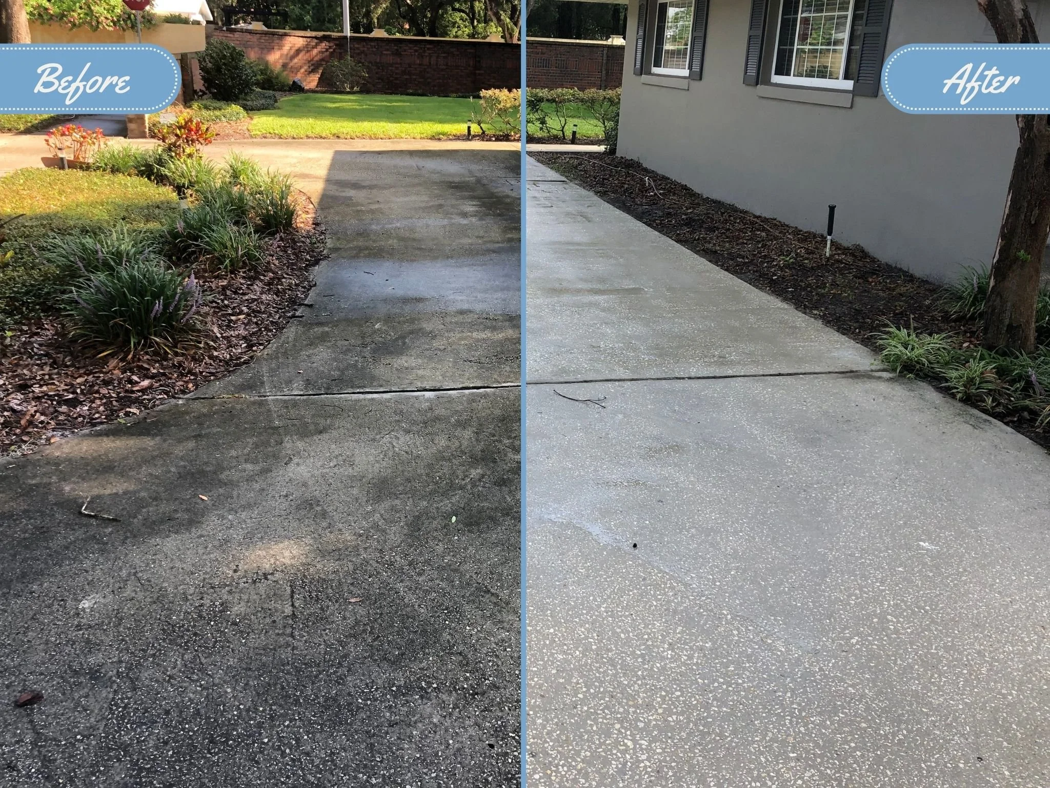Side-by-side comparison of a concrete driveway. The left shows the driveway with heavy dirt and organic buildup before pressure washing. The right shows the bright clean driveway after professional pressure washing service in orlando.