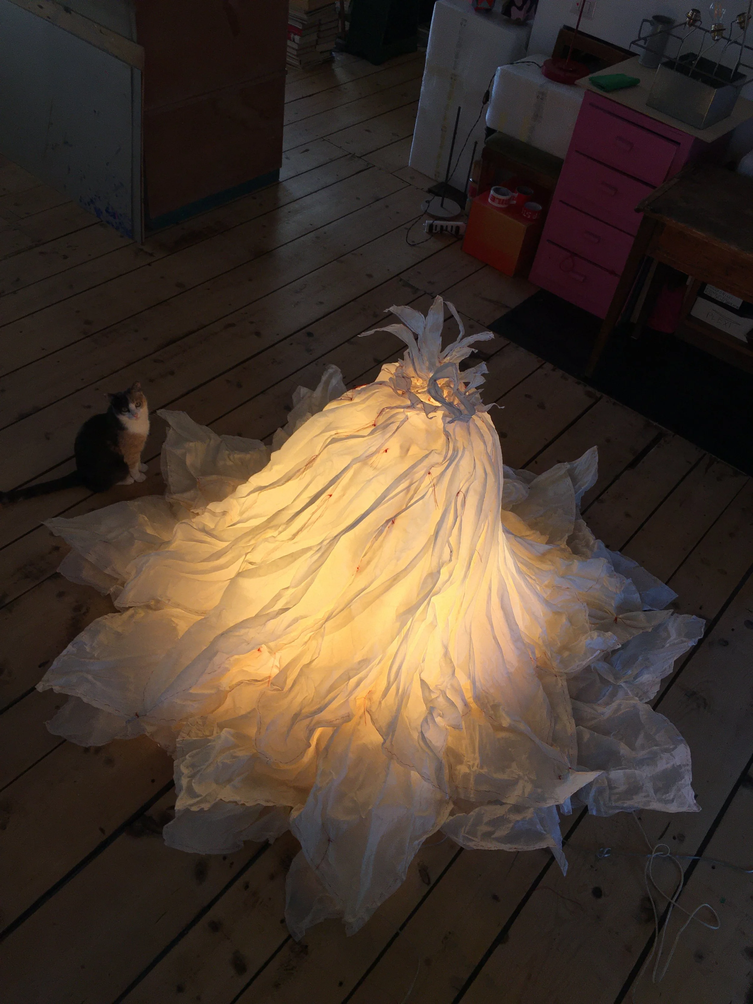 Titania, 2017 Orsina Sforza Luci.jpg