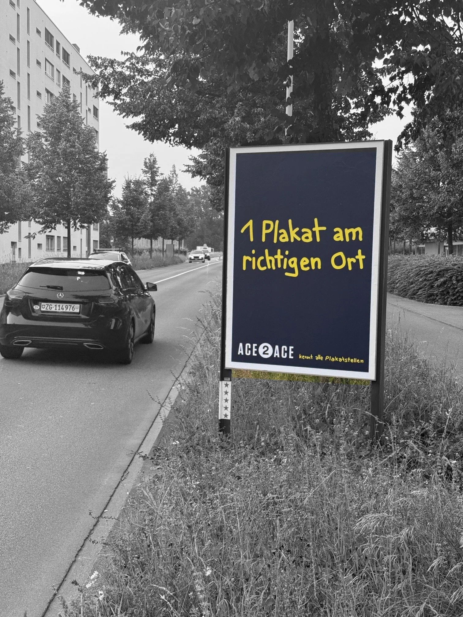 IMG_2774_SW_Plakatfarbe.jpg