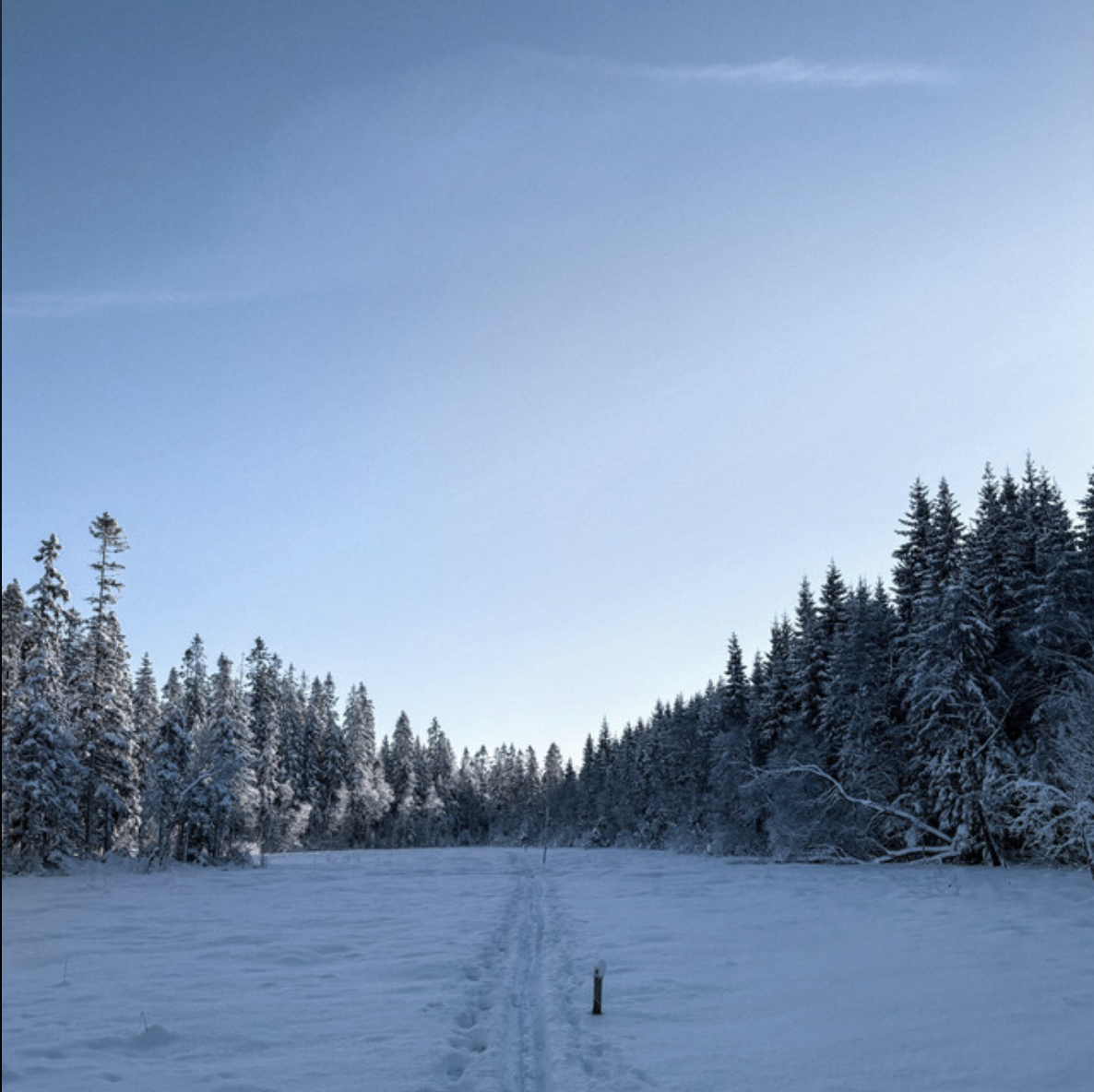 Runar Netland - Sinober