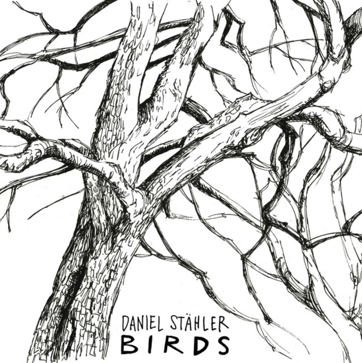 Daniel Stähler - Birds