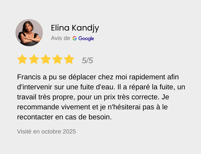Avis en ligne d'Elina Kandjy avec une note de 5 étoiles, recommandant fortement les services de François pour réparer une fuite d'eau rapidement et à un prix abordable, en octobre 2025.