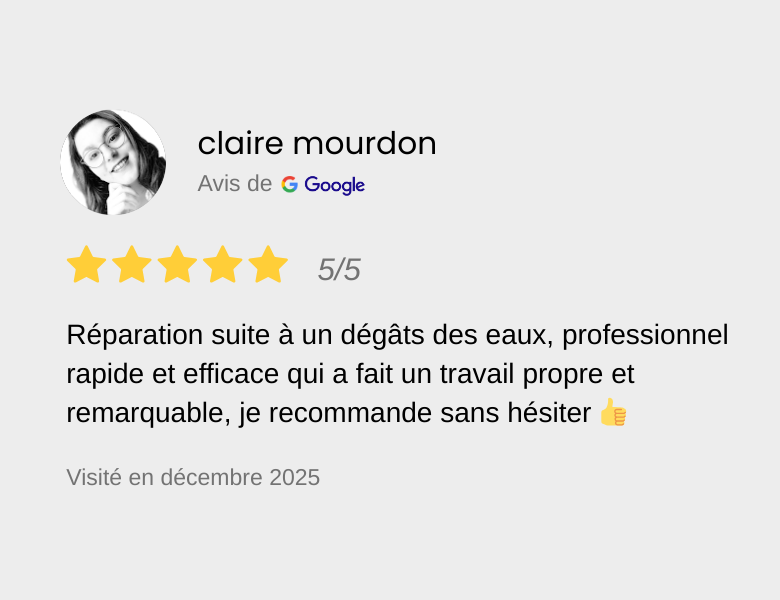 Avis de Claire Mourdon avec une note de 5 étoiles sur 5, recommandant un professionnel pour la réparation d'eau, mentionnant la rapidité, l'efficacité et la propreté du travail, daté de décembre 2025.