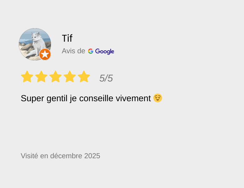 Capture d'écran d'un avis client avec une photo de lama, étoiles dorées, note 5/5, commentaire positif, visitée en décembre 2025.