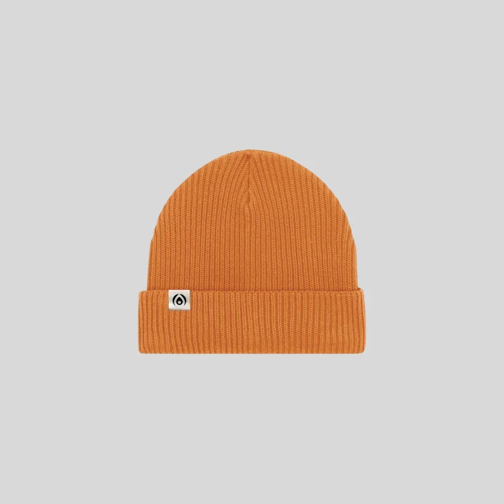 Flogo_Spindrift_Organic_beanie_Spiced_Pumpkin_1080x.webp