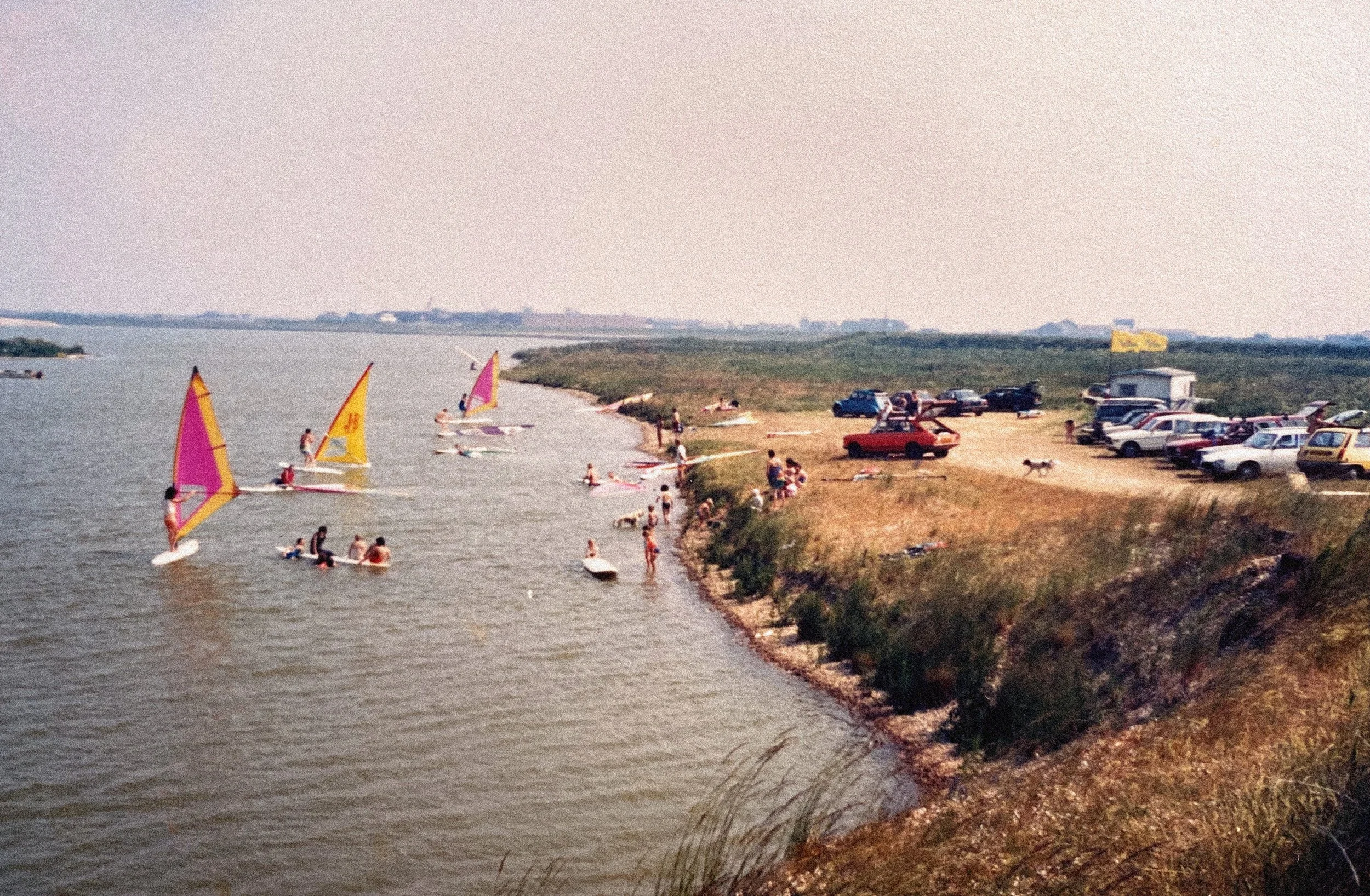 People enjoying a day at a beach with sailboats, parked cars, and a grassy area in the background.