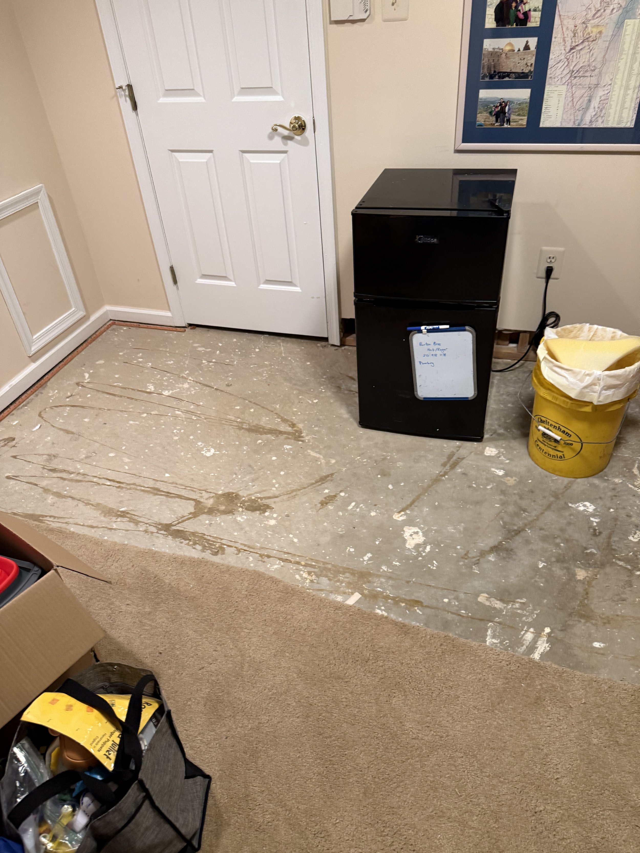 Floor preparation in progress with exposed concrete subfloor beside the remaining carpet.
