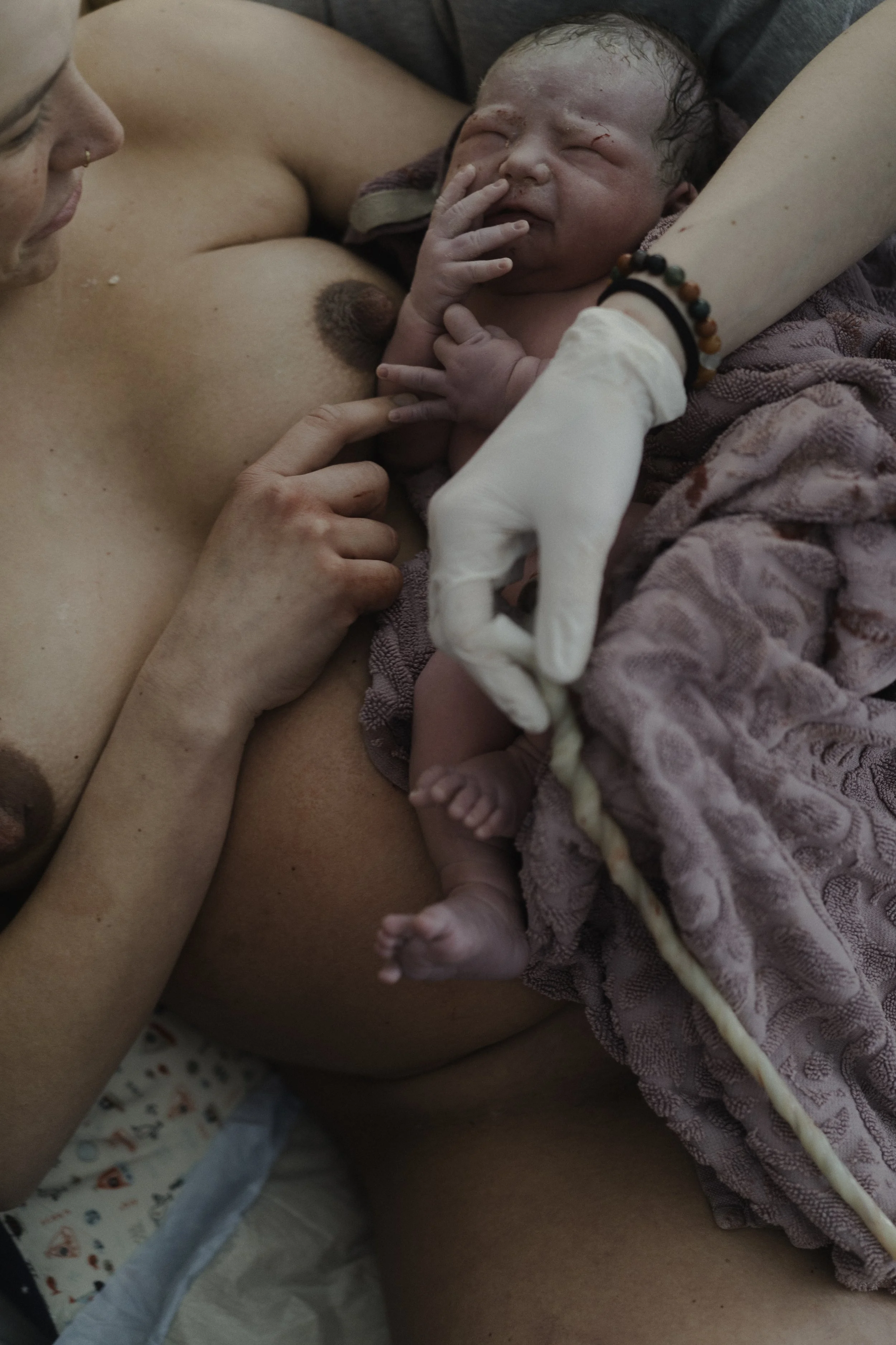 Ein neugeborenes Baby wird auf der Brust einer Mutter geboren.