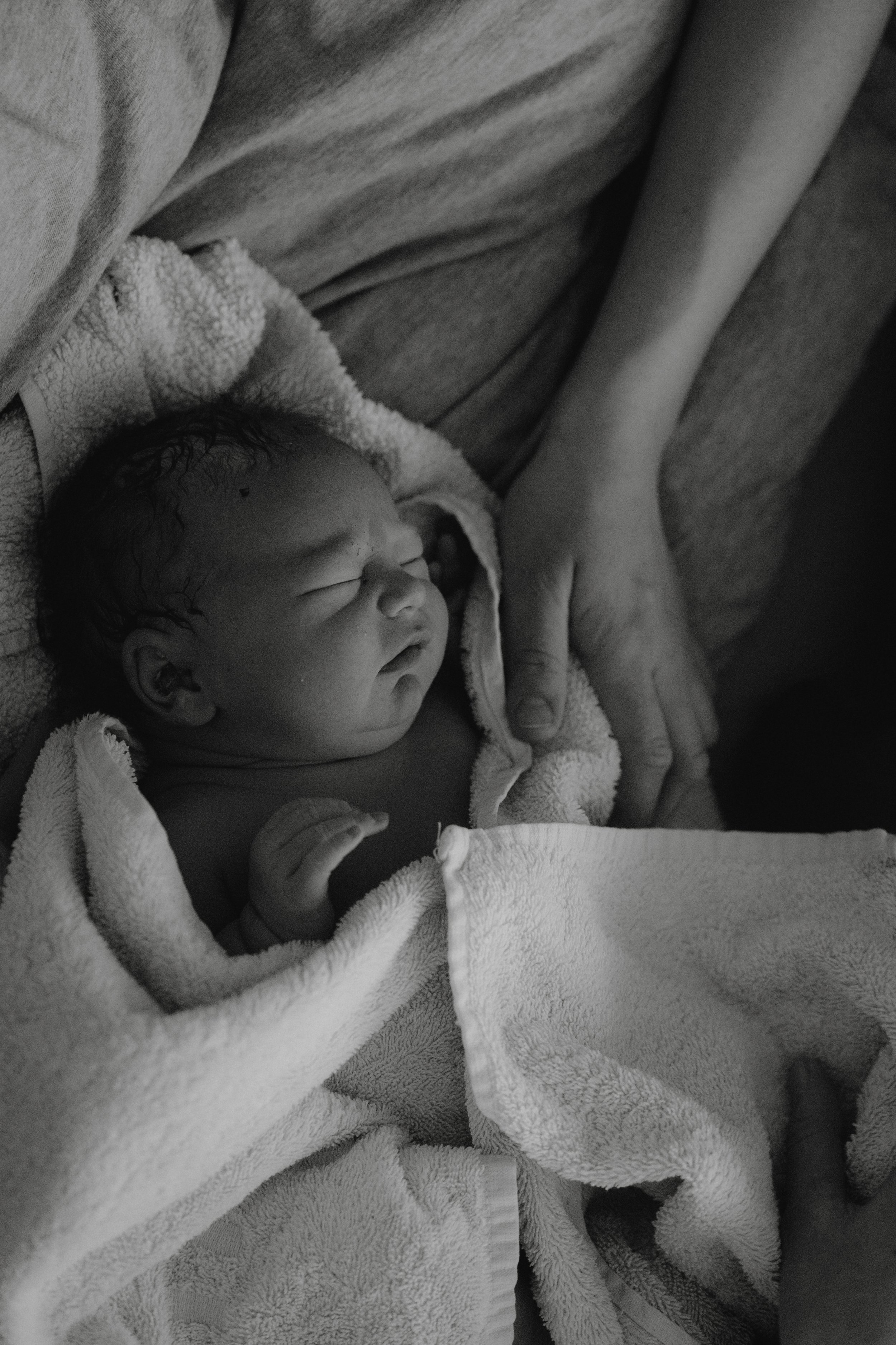 Ein neugeborenes Baby, eingewickelt in eine weiche Decke, wird von einer erwachsenen Person gehalten, im schwarz-weißen Foto.