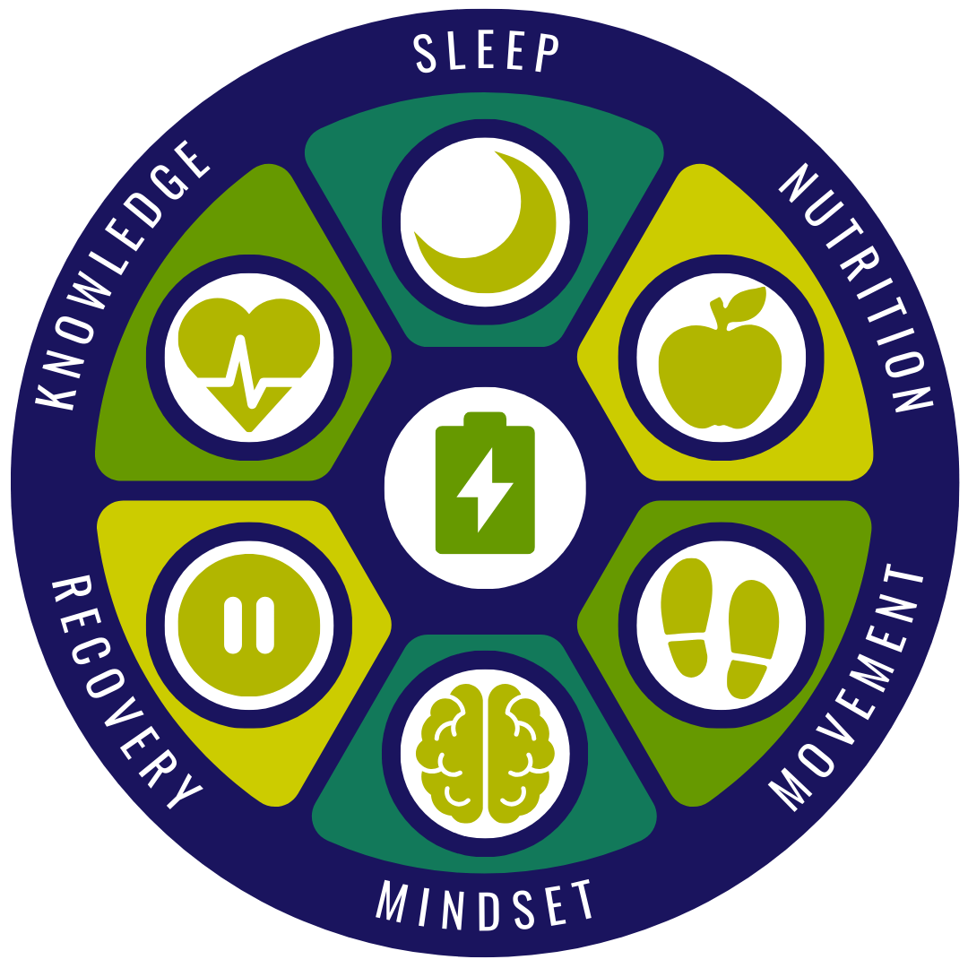 Zest wheel of vitality - sleep, nutrition, movement, mindset, recovery and knowledge