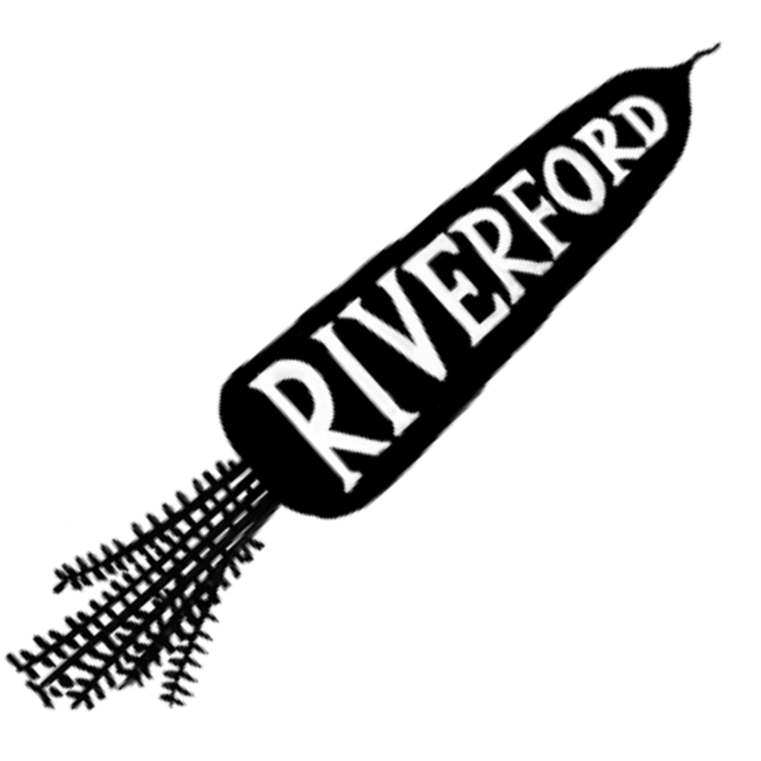 I love my weekly Riverford organic veg box. CLICK IMAGE to get £15 off your second order.