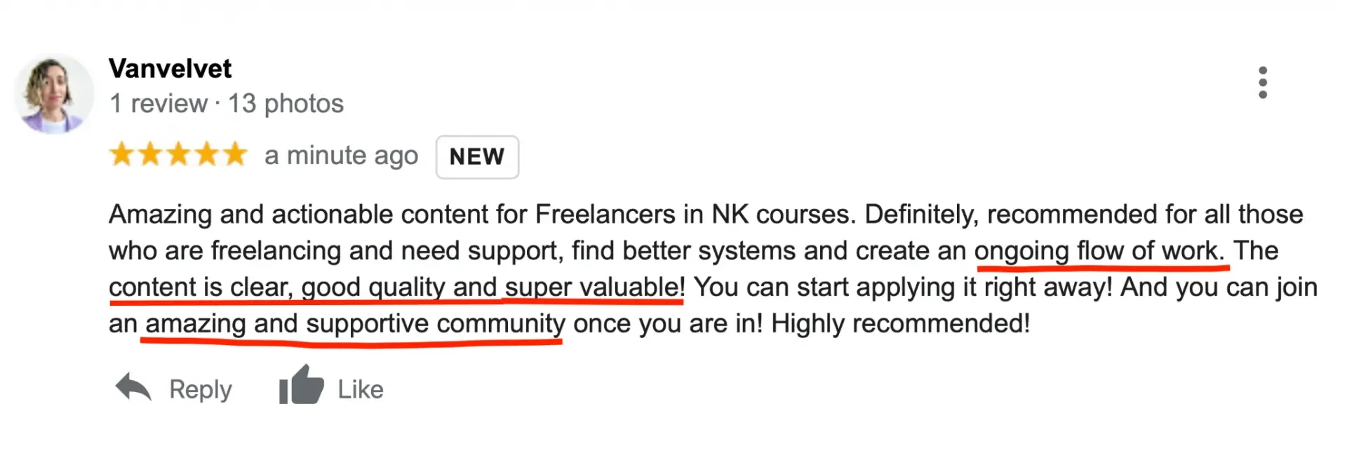 Screenshot of a five-star review by Vanvelvet praising NK course content, mentioning clear, high-quality, and valuable material, and recommending community support.