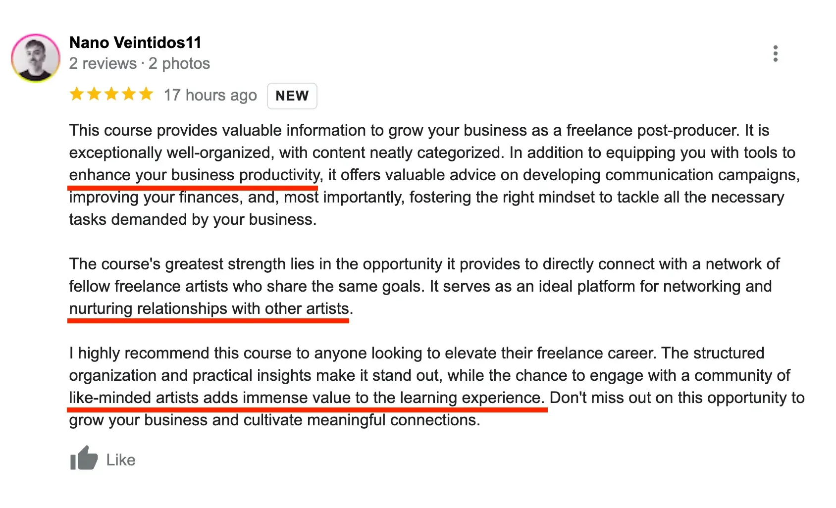 Customer review of an online course discussing business skills, communication, and networking with freelance artists.
