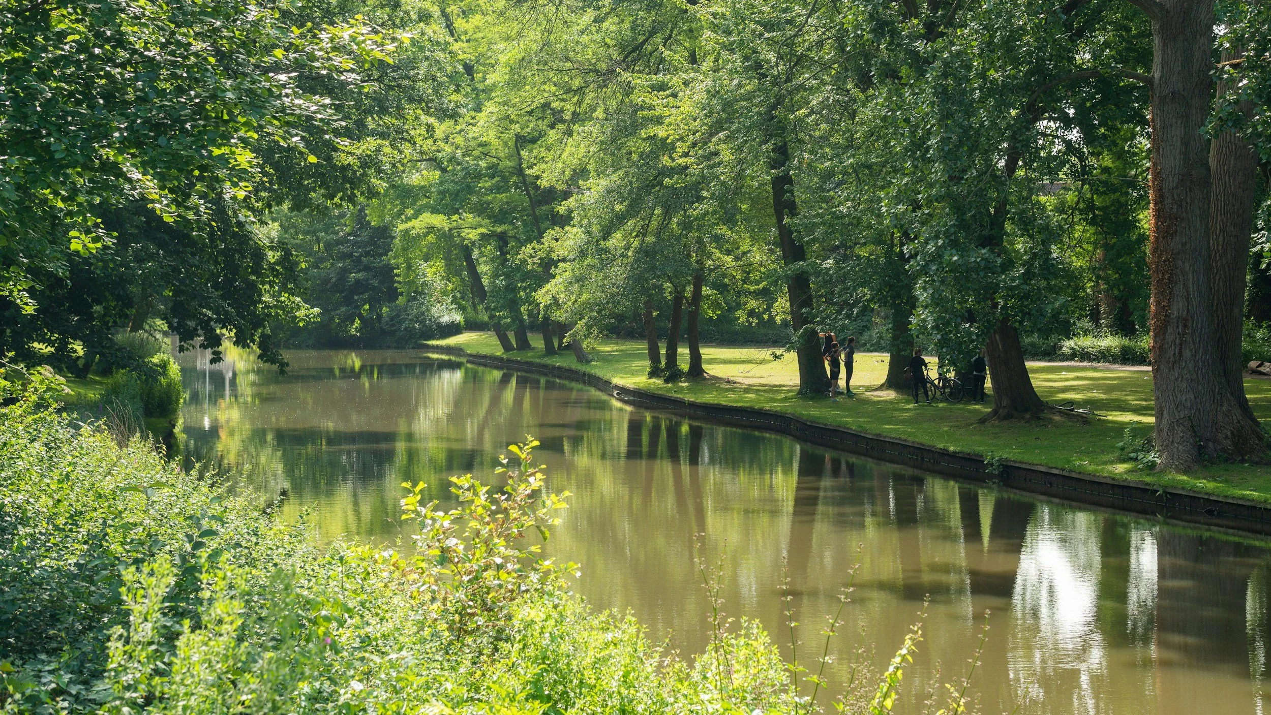 unsplash-image-DIBez6Qbhhc.jpg