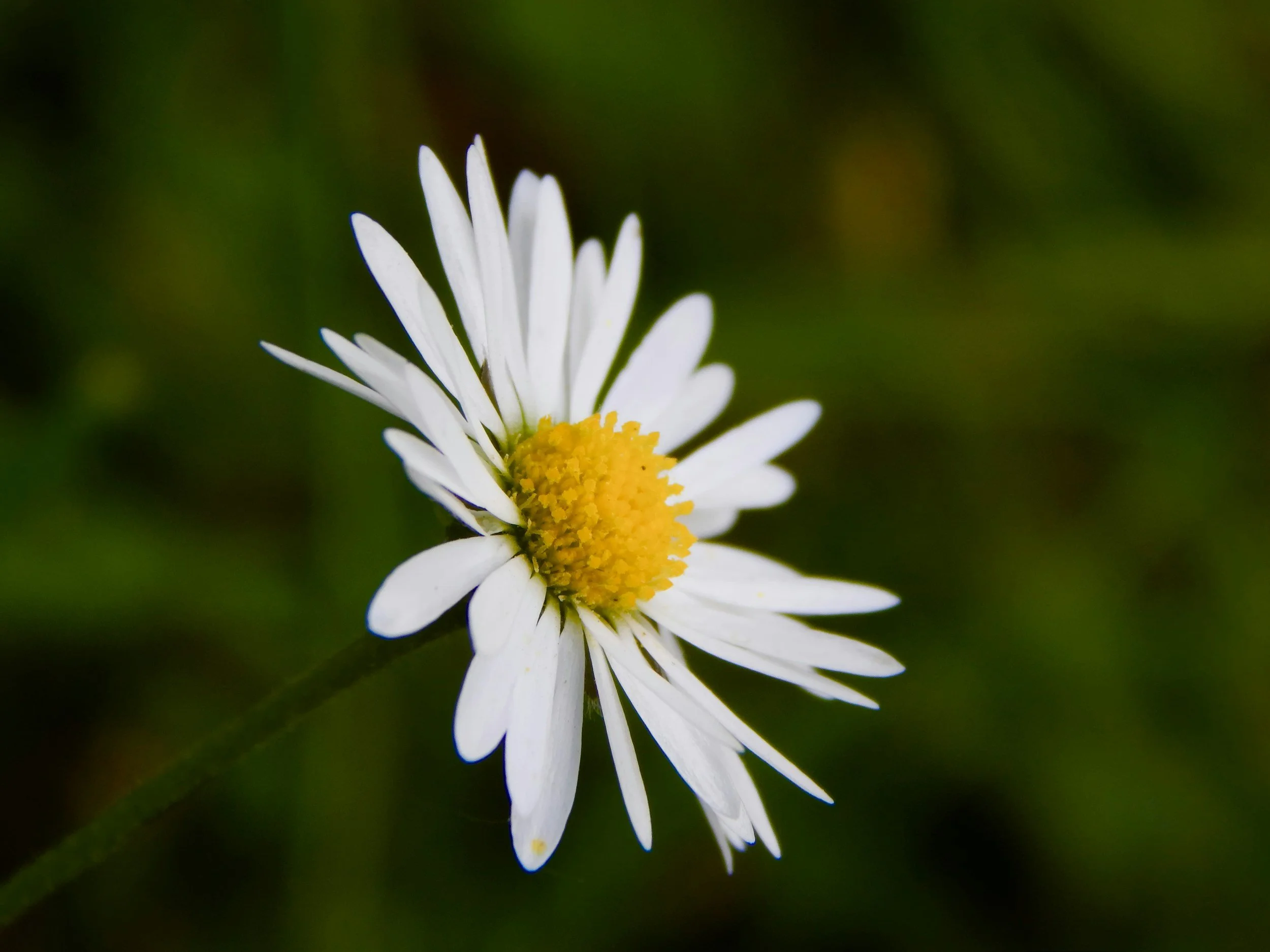 unsplash-image-NzxTsckOdNo.jpg