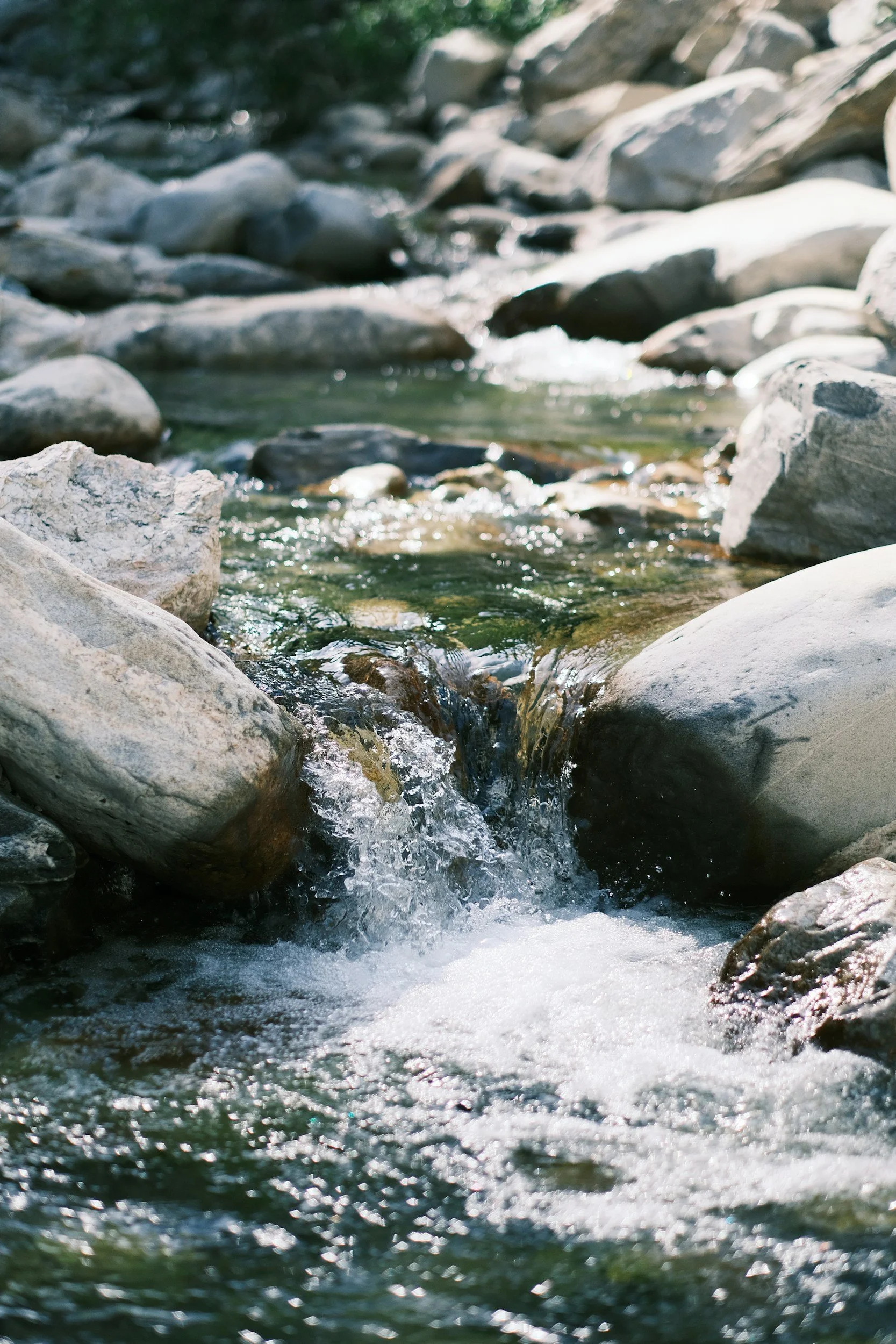 unsplash-image-gSgPbMt90n0.jpg