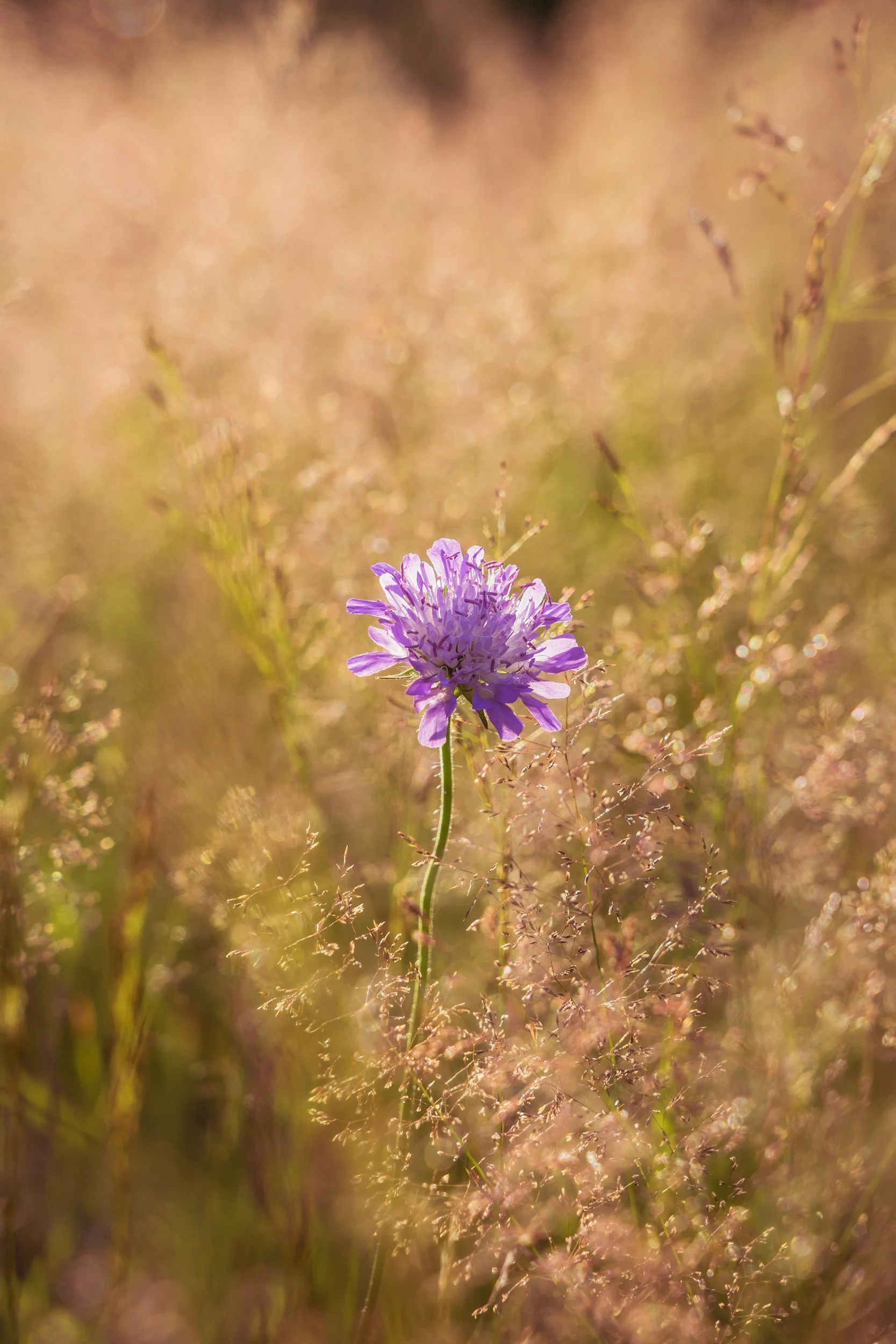 unsplash-image-s-iS4TaMWDY.jpg