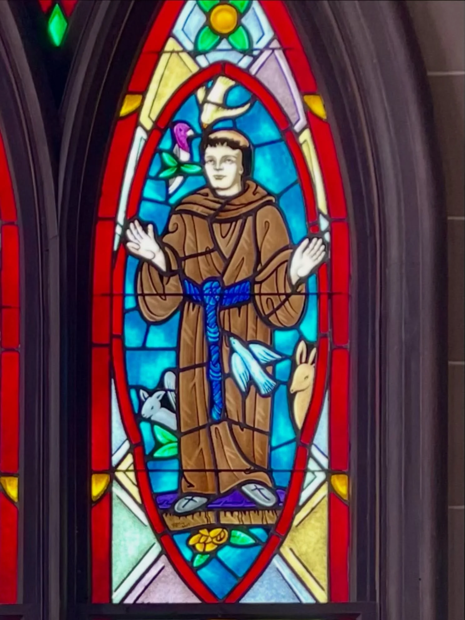 Scenes from the Feast of St Francis