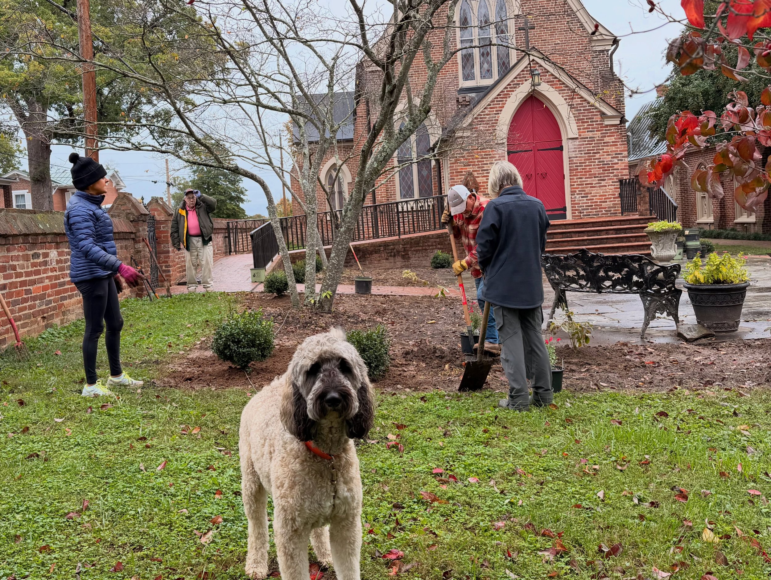 This morning dedicated parishioners (and canine friends) braved the cold and rain to do some planting in new beds around the churchyard. We can't wait to see them all in spring!
