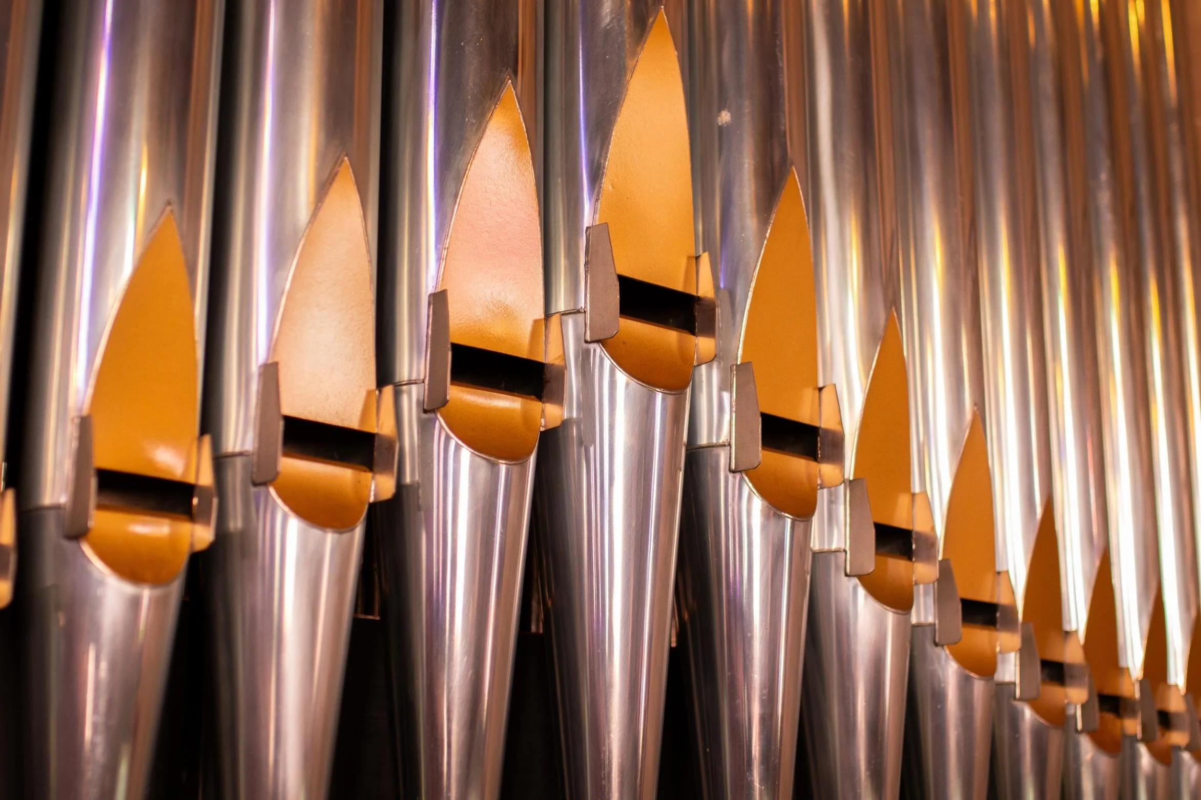 Christ Church_97.jpg