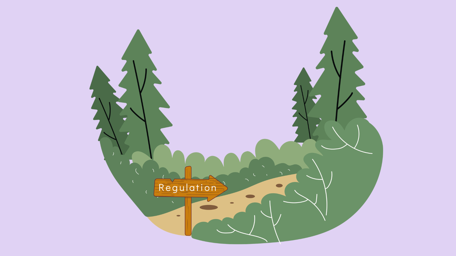 What Regulation Actually Feels Like