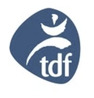 Mindful Movement Workshop Series - The Disability Foundation
