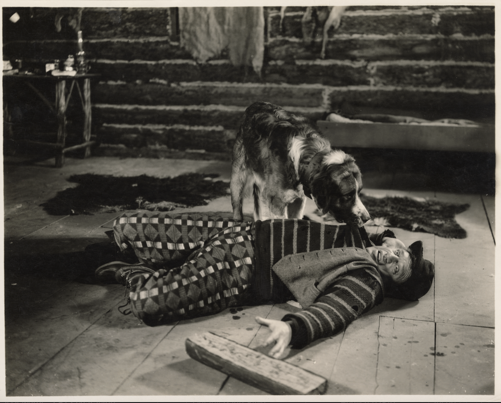 Still from 1923 silent film The Call of the Wild, courtesy of The Museum of Modern Art