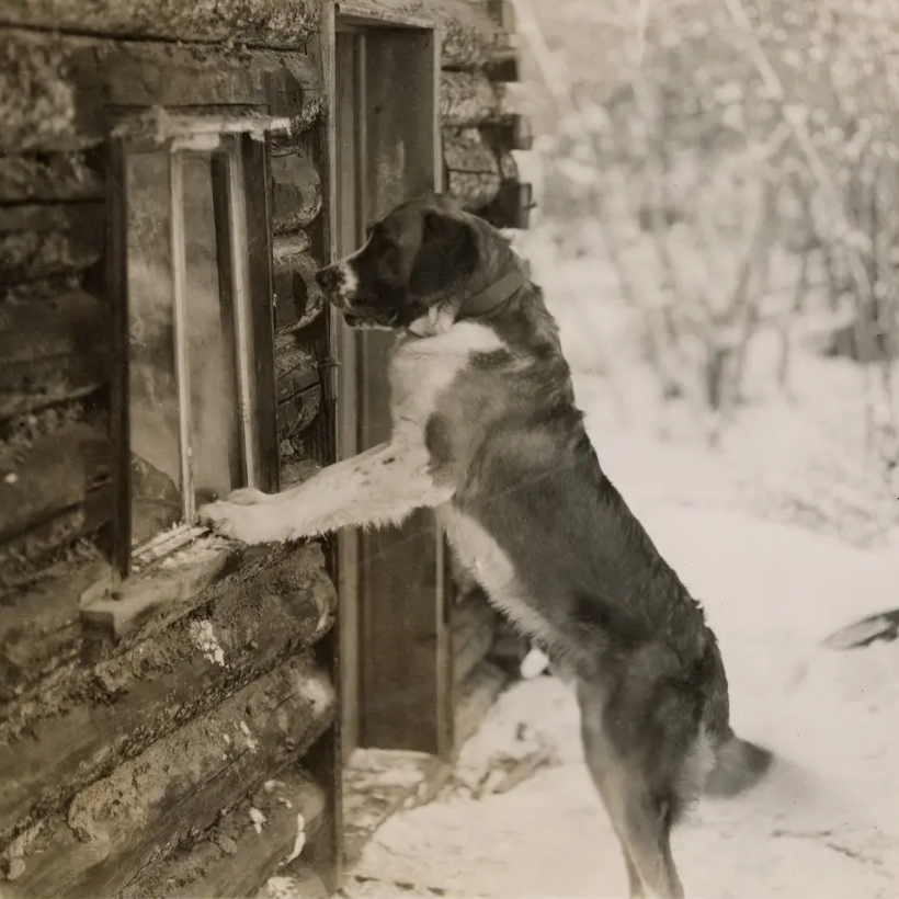 Our recent archival findings and more