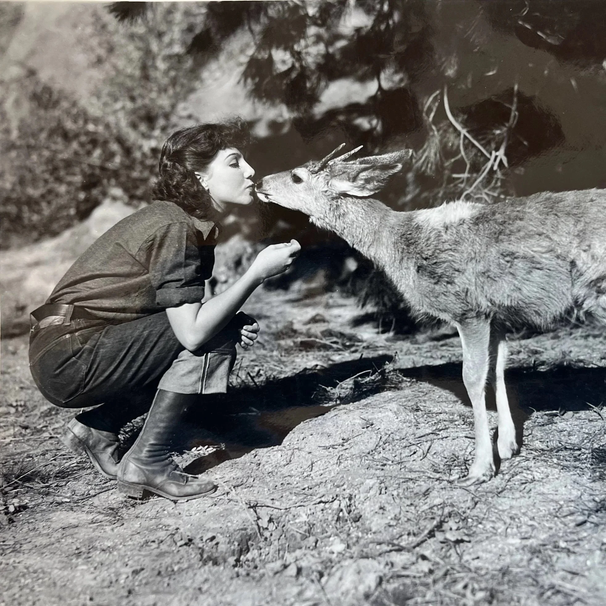 Go Ducks! University of Oregon archival treasures