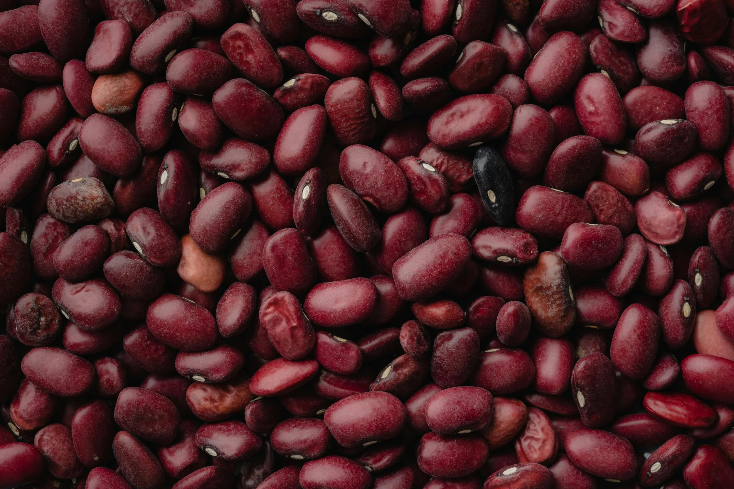 A Tiny Pod Holding One of Nature’s Most Remarkable Foods