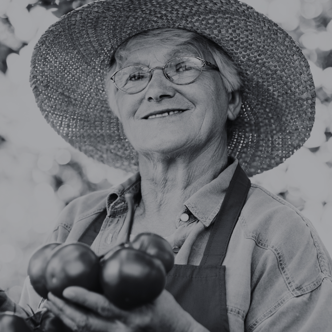 Tomato: From Vine to Global Table