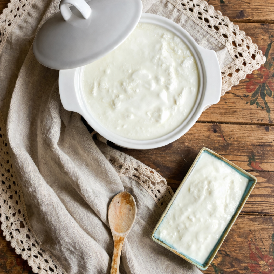 A Cultured Spoonful from the Global Table
