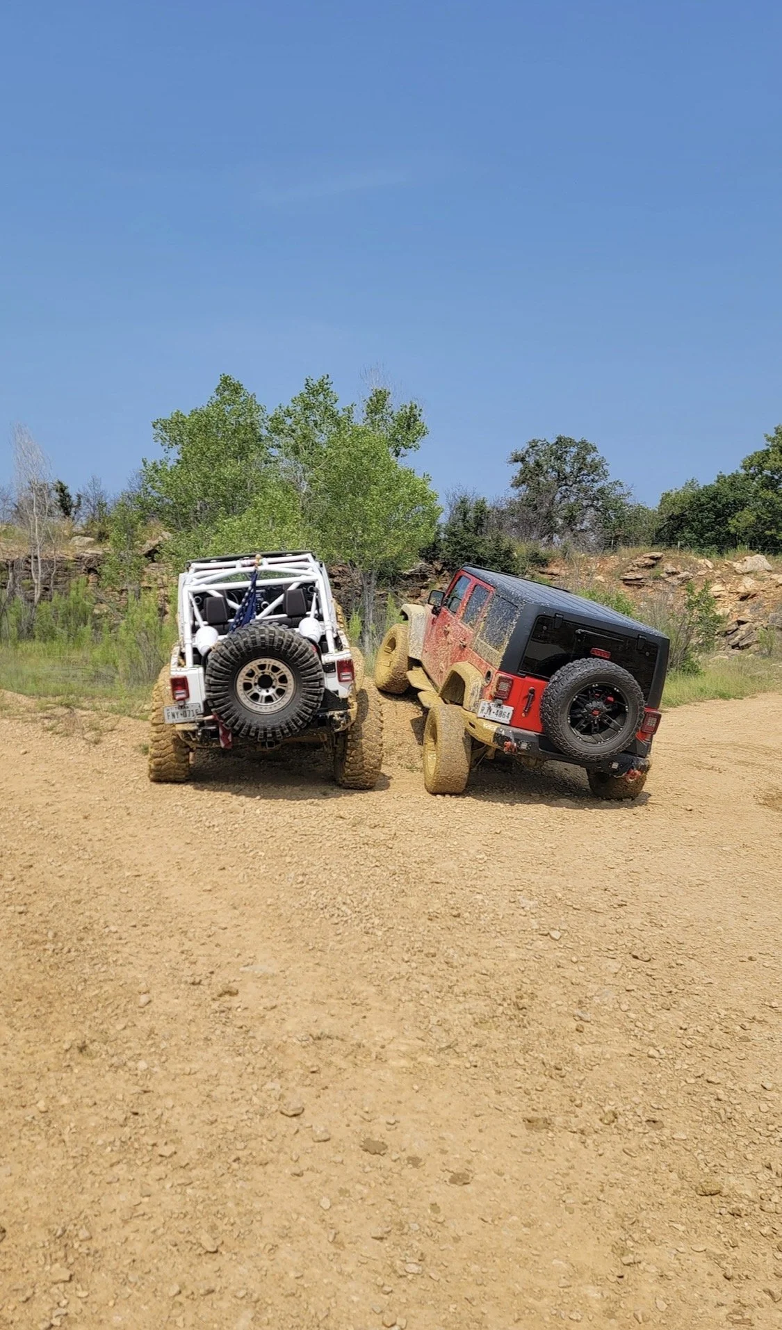Two off-road vehicles, a white Jeep and a red Jeep, are parked on a dirt trail with one wheel of each vehicle raised on rocks, suggesting they are on a trail for off-roading. There are green trees and a rocky hill in the background under a clear blue