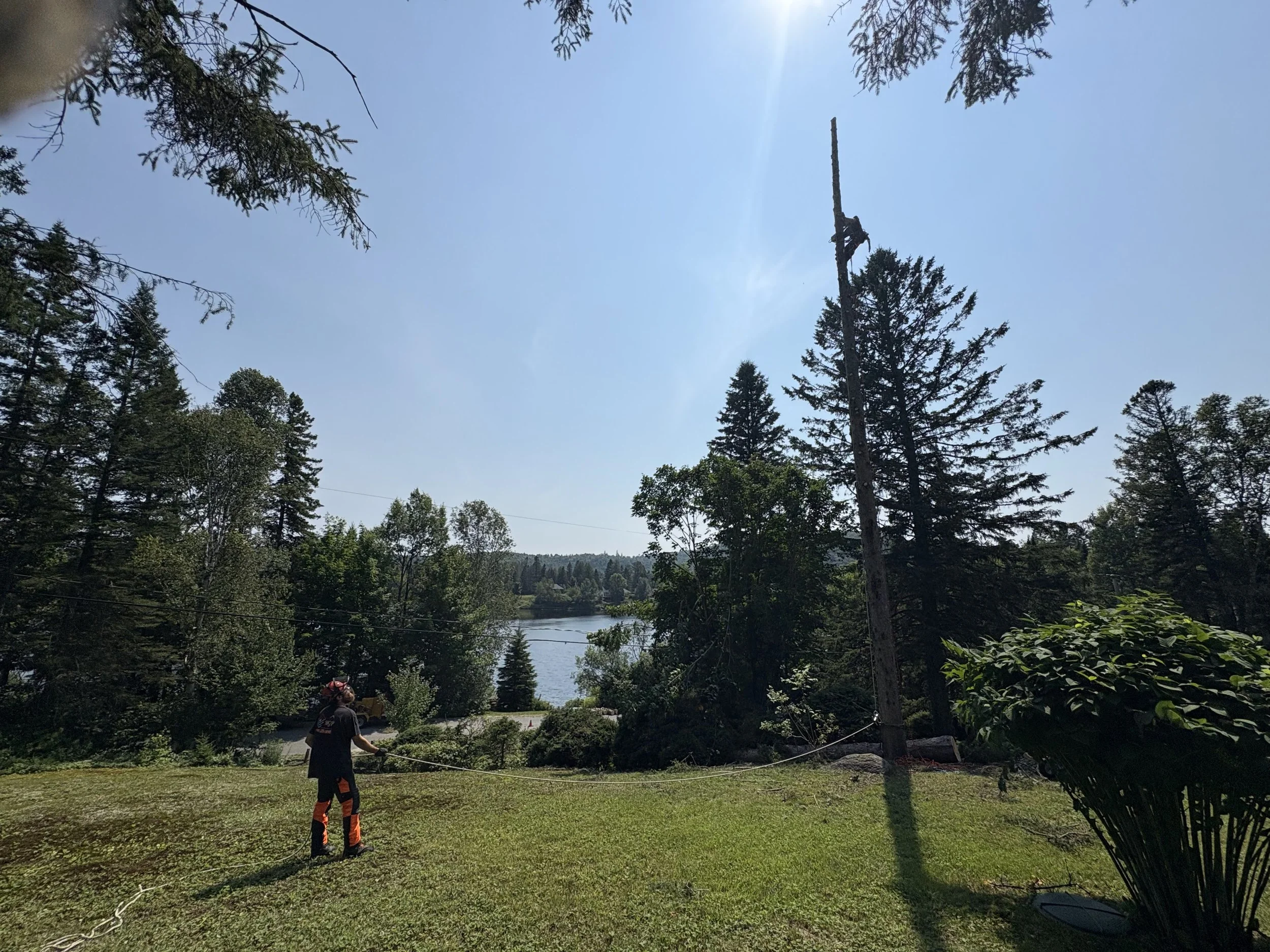 Un technicien en sécurité effectue une inspection d'une ligne électrique dans un environnement boisé près d'un lac par temps ensoleillé.