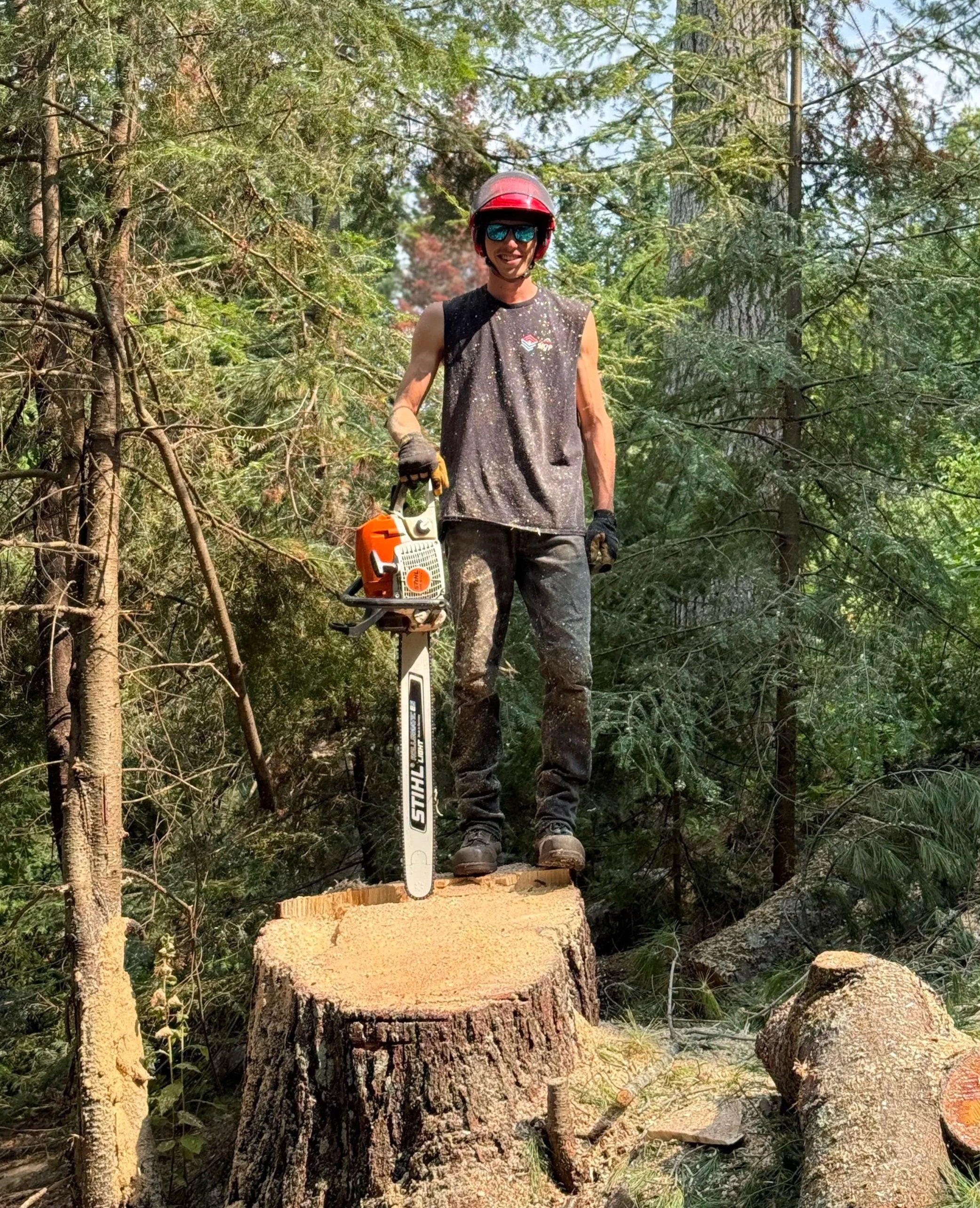 Un homme avec un casque rouge, lunettes de soleil, debout sur une souche d'arbre, tenant une tronçonneuse dans la main droite, dans une forêt.