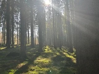 IMG_6890.jpeg