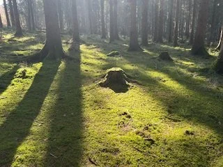 IMG_6892.jpeg