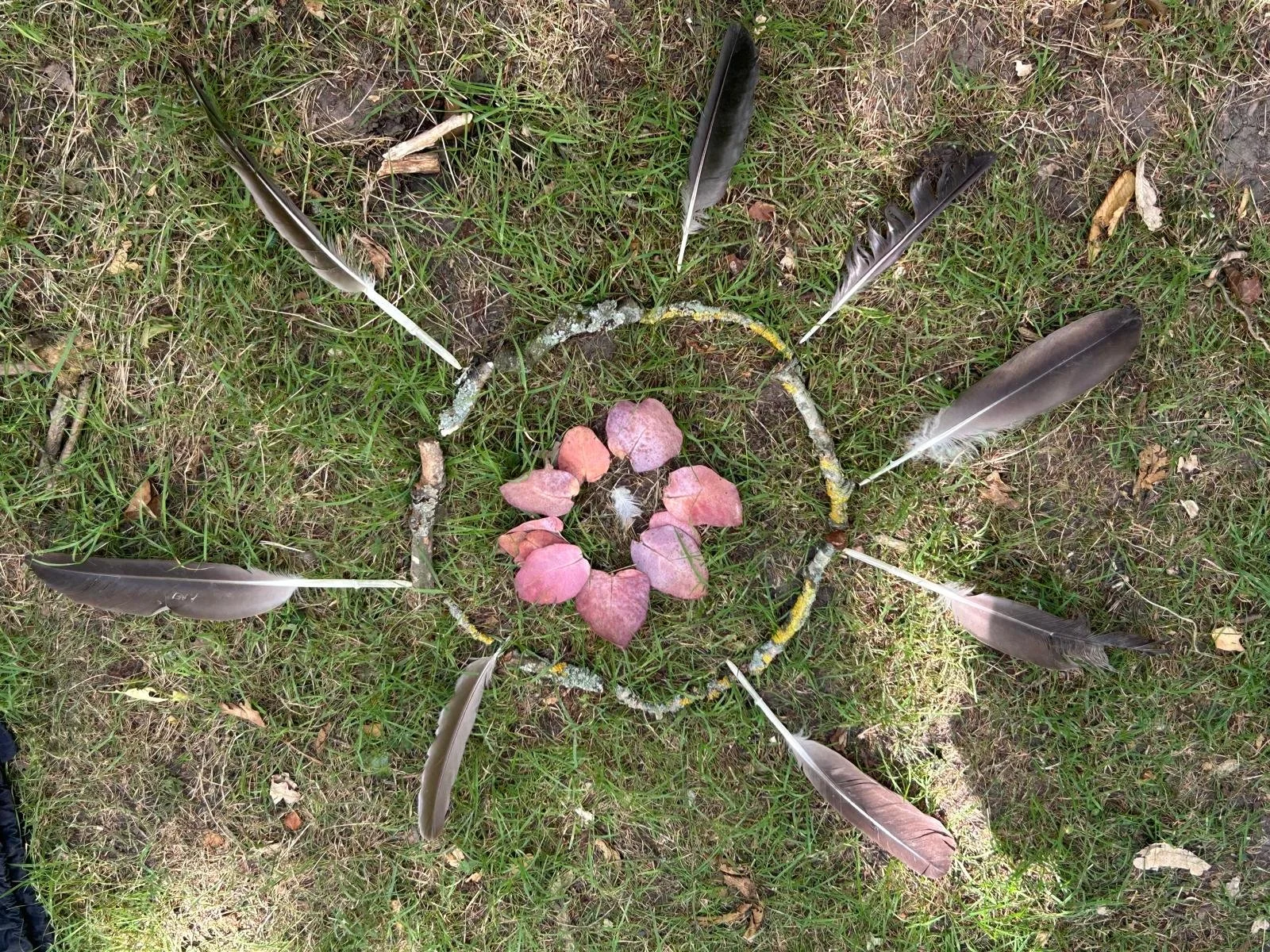 Forest therapy 3.jpg
