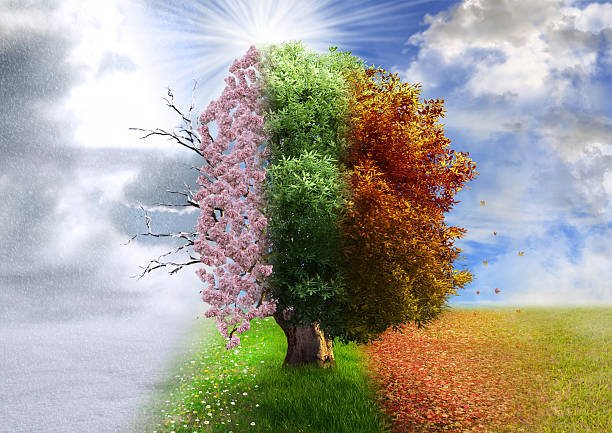 'Seasoning' Series - Winter: Stillness Workshop - Sun 20th December 2026