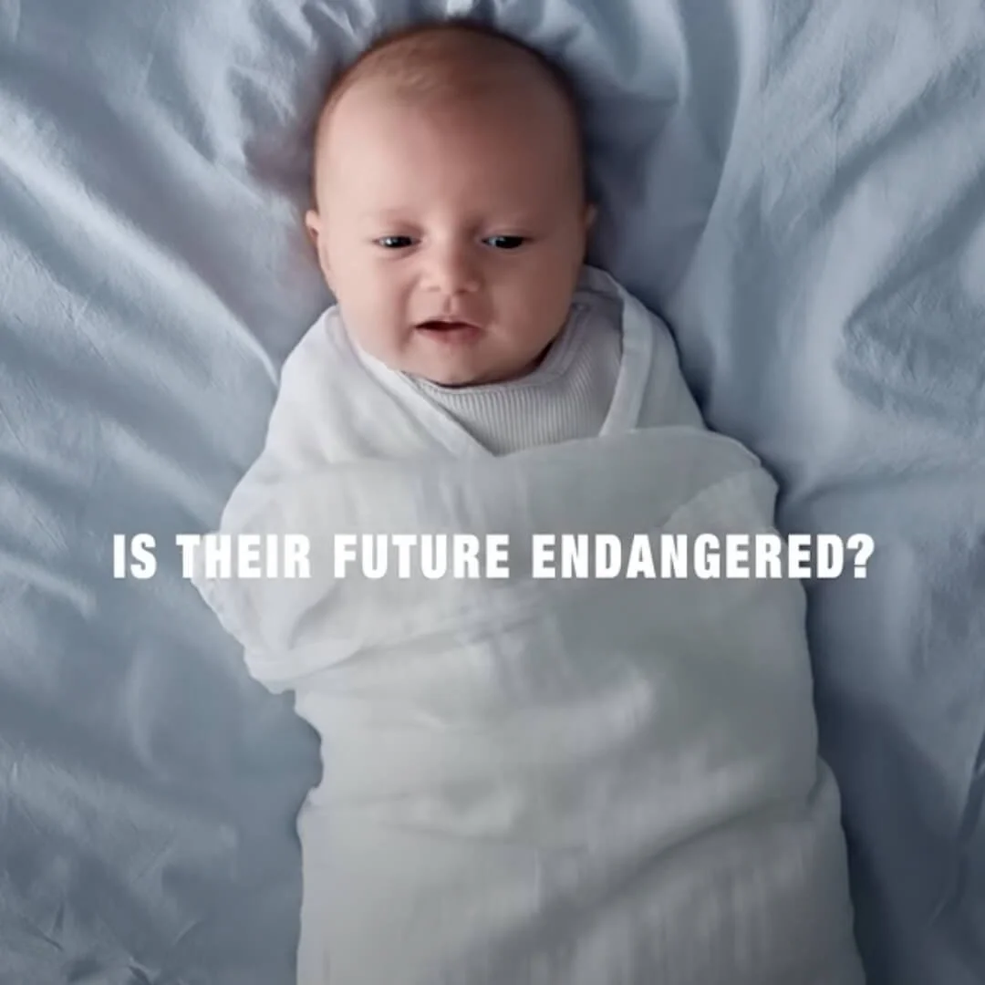CRHEATE: Monash University’s Endangered Generation? with Ali Freer 