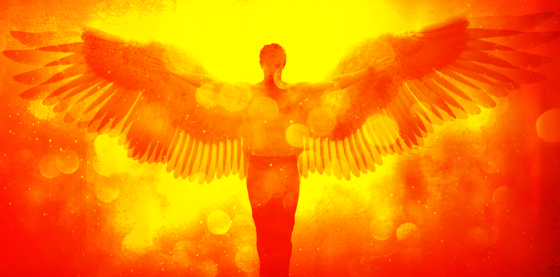 Purpose_LI_post.png