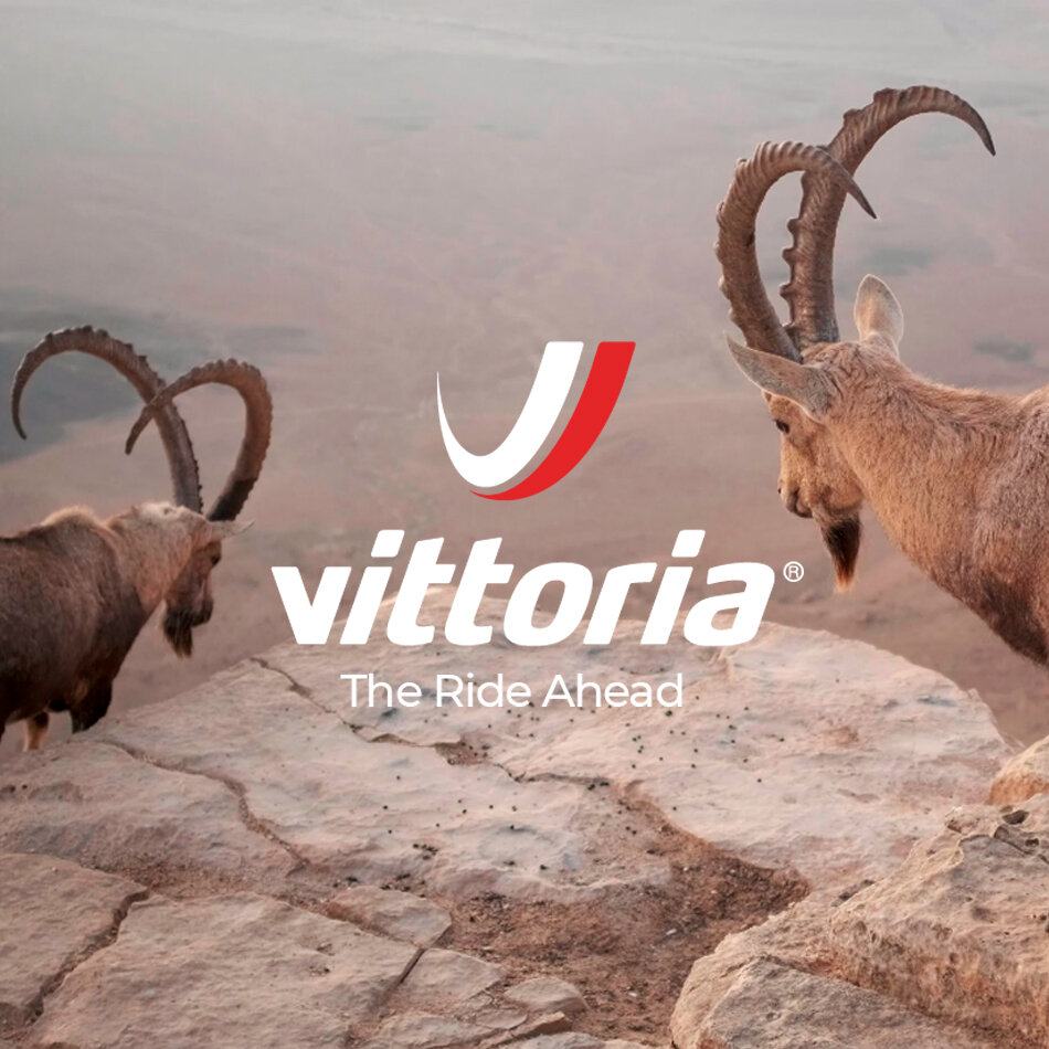 On the Edge with Vittoria MTB tyres