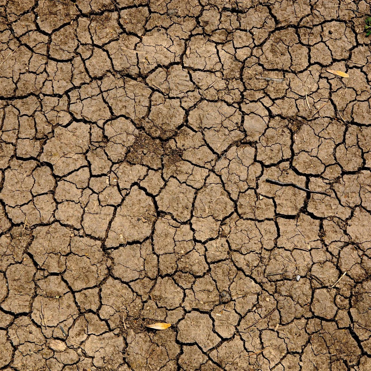 Why marketing and advertising are at fault over climate change and what we can do next