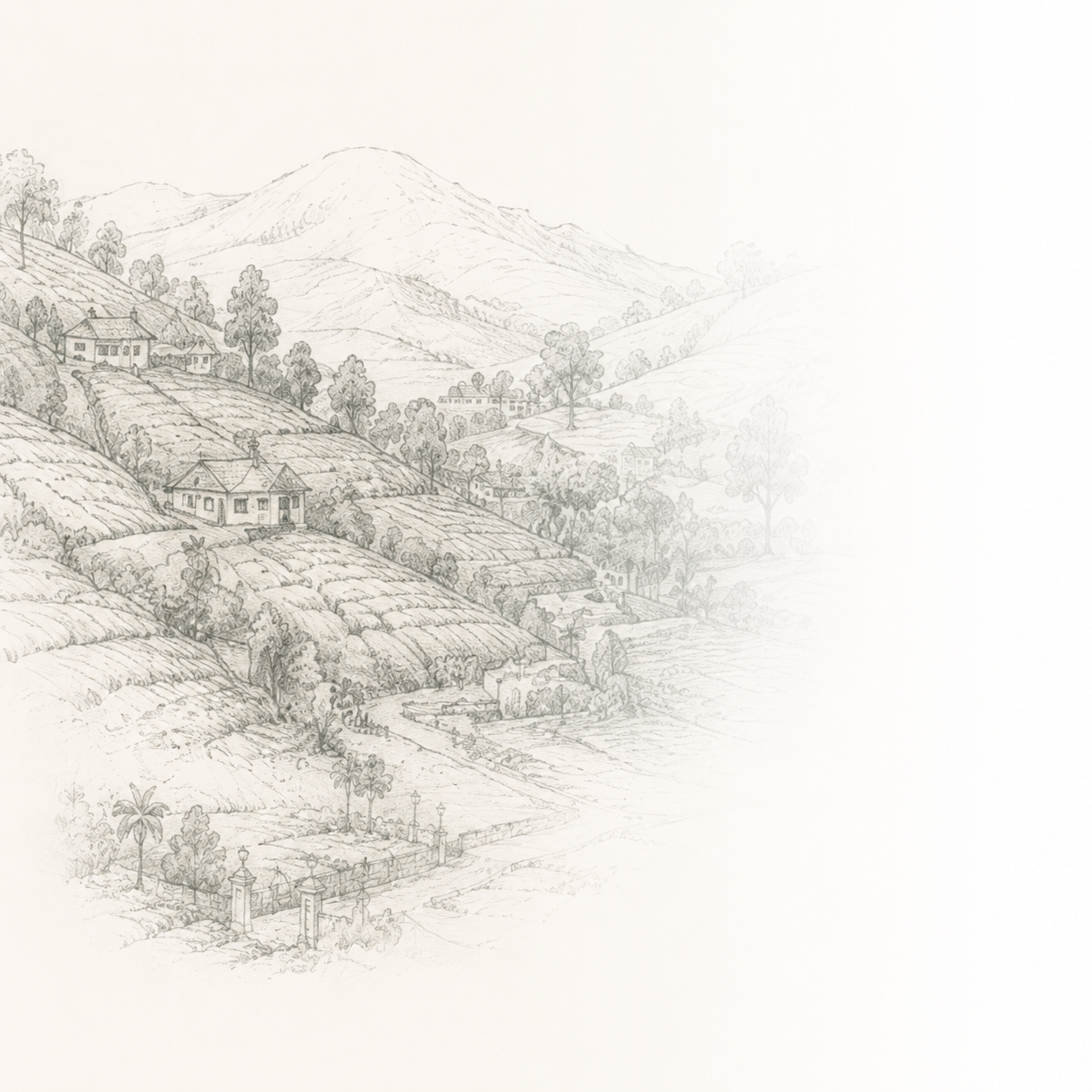 A pencil sketch of a hillside landscape with houses, trees, and mountains in the background.