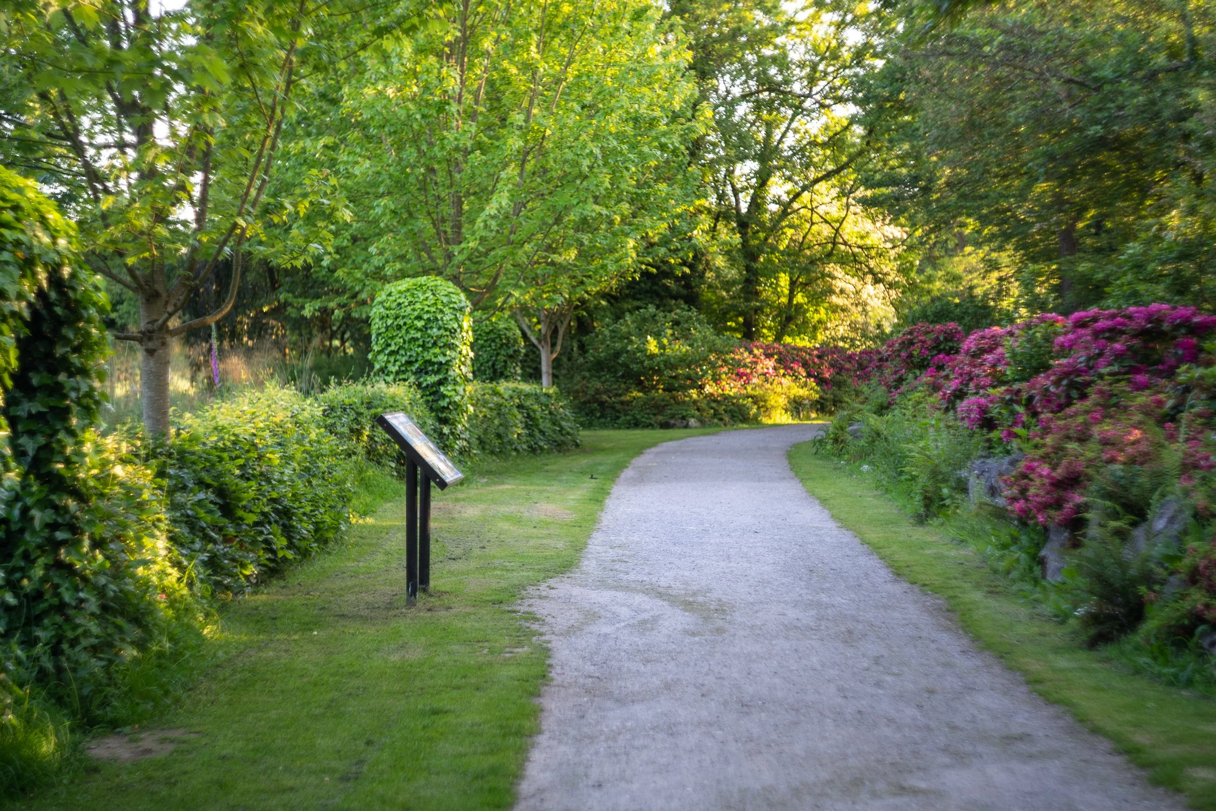 Regional Park Path