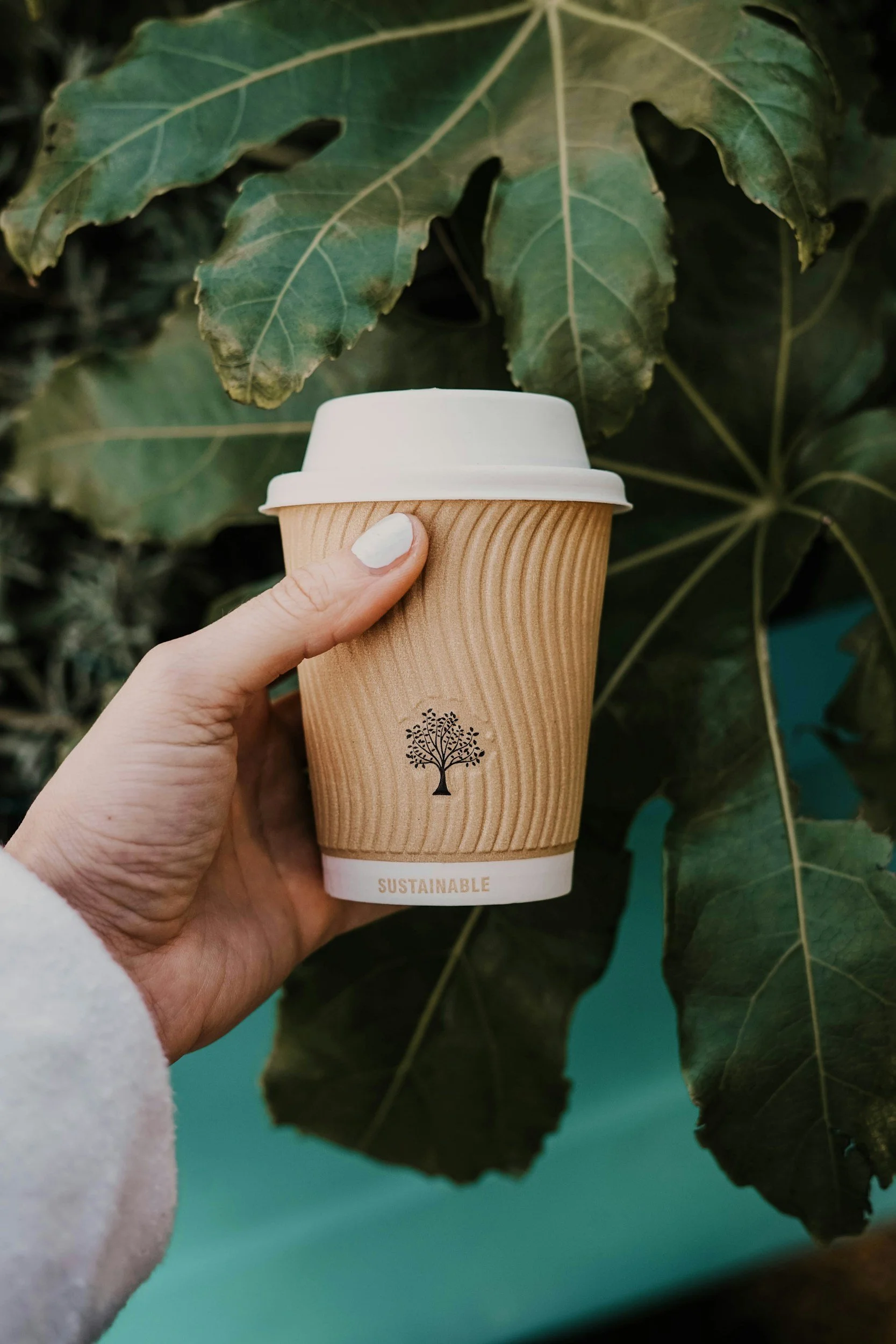 Paper cup