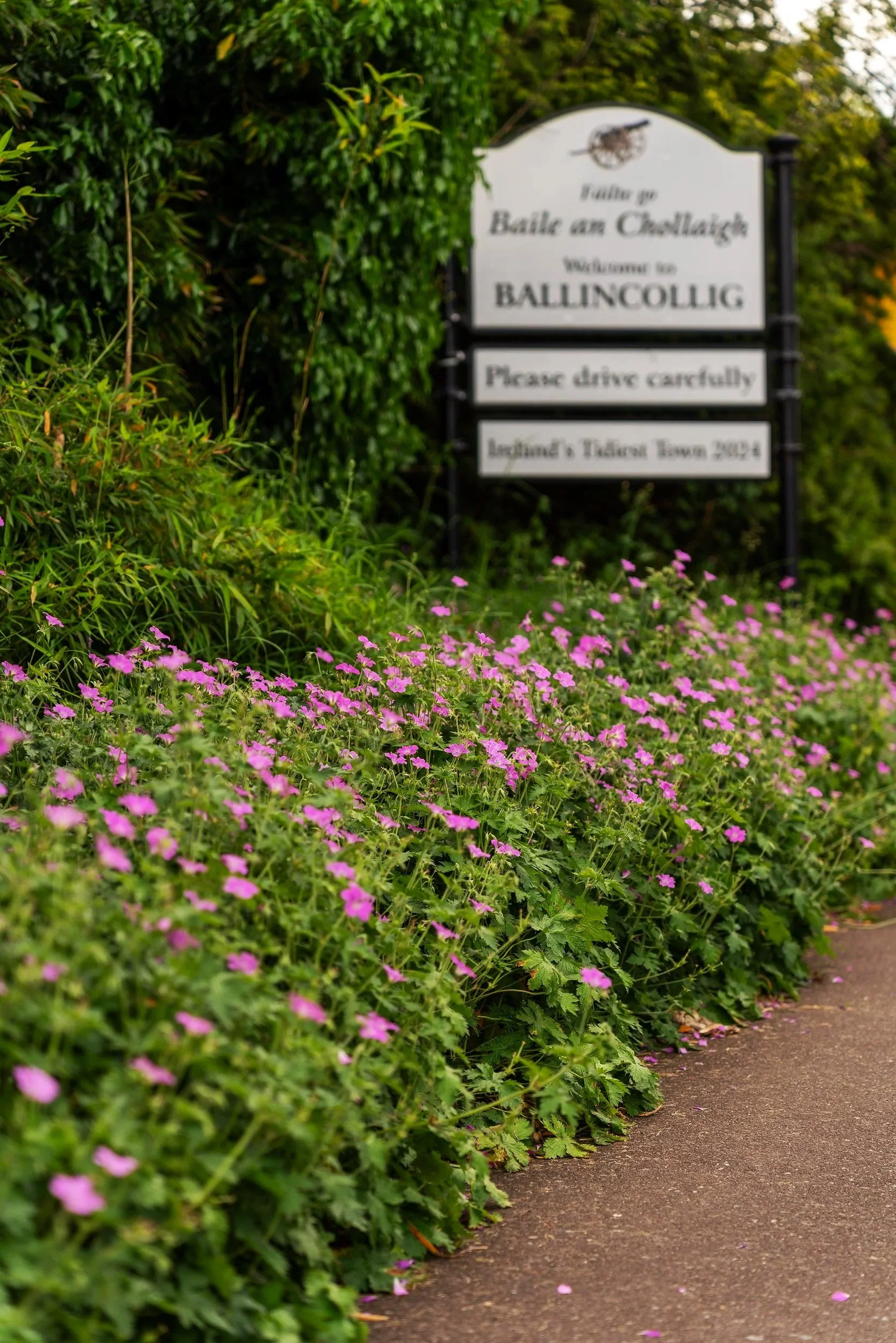 Welcome to Ballincollig sign
