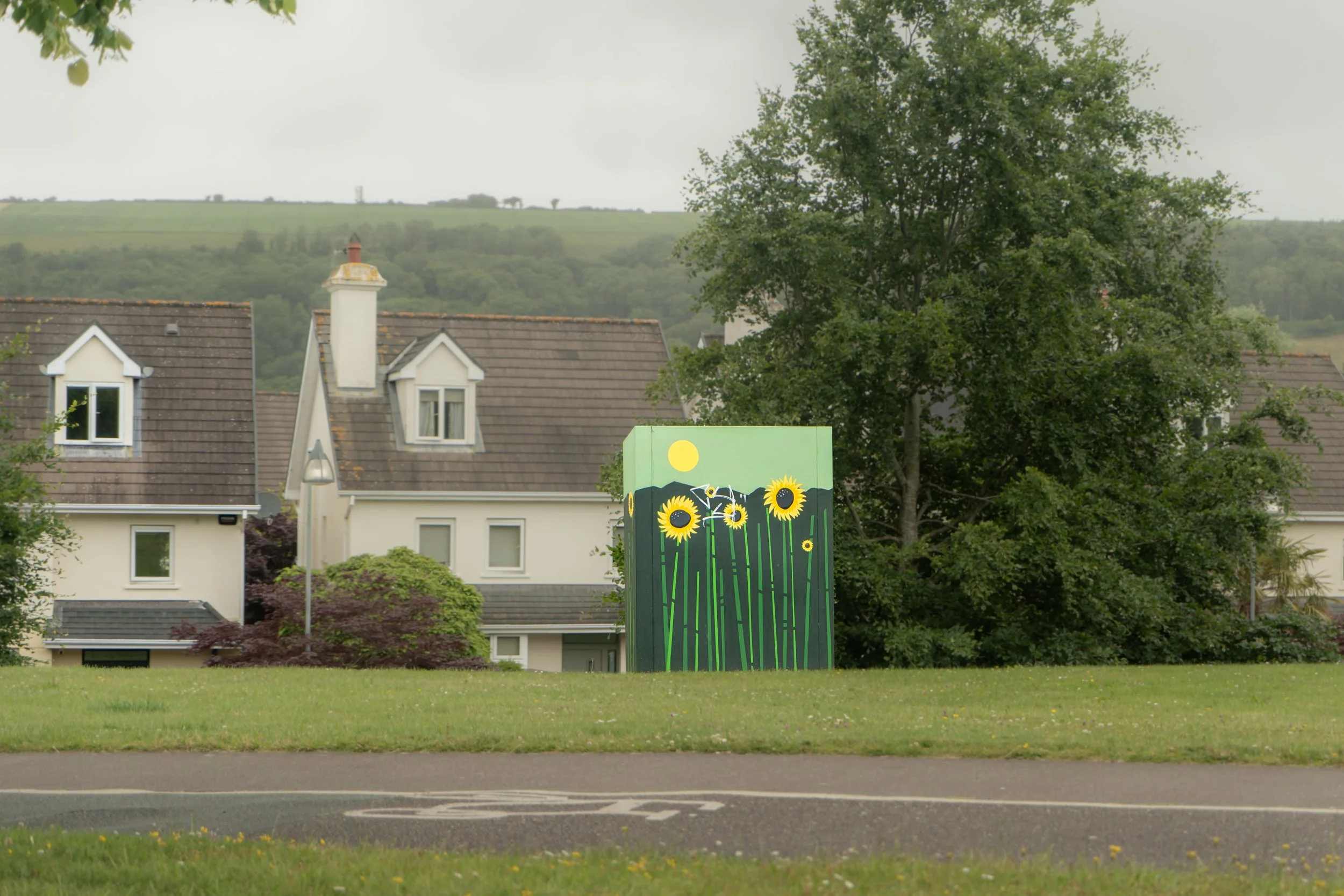 Painted utility box on an area of green grass with houses and trees in the background.